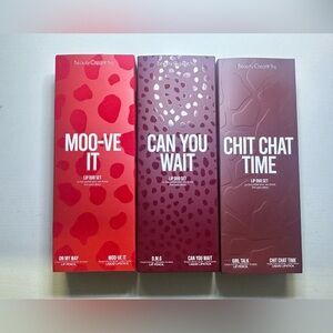 Beauty Creations Lip pencil and Liquid Lipstick